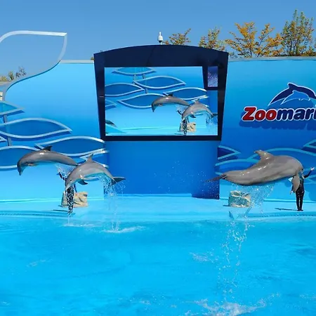 Beautiful Coral And Ocean Blue In Oceano Atlantico *