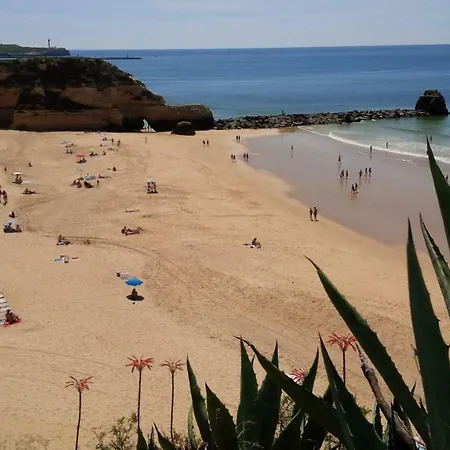 Beautiful Coral And Ocean Blue In Oceano Atlantico Hotel
