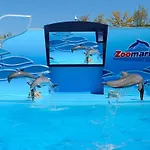 Beautiful Coral And Ocean Blue In Oceano Atlantico *